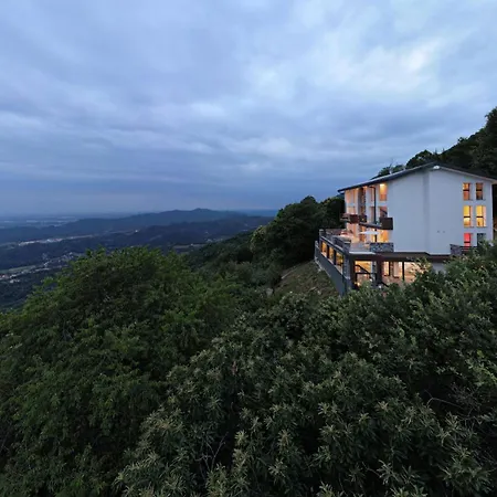 Loft Experience O Psyche A Carobais 7 Roncola